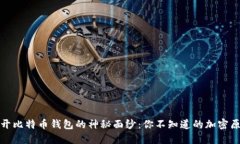 揭开比特币钱包的神秘面纱:你不知道的加密原