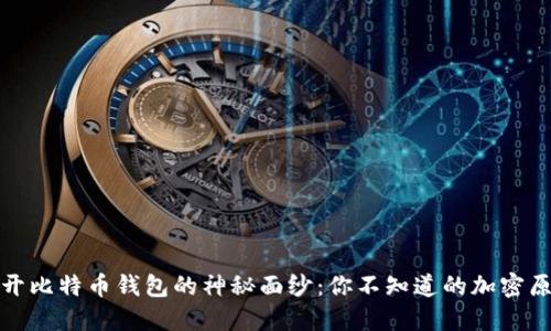 揭开比特币钱包的神秘面纱:你不知道的加密原理