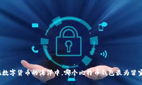 在数字货币的海洋中,哪个比特币钱包最为皆宜?