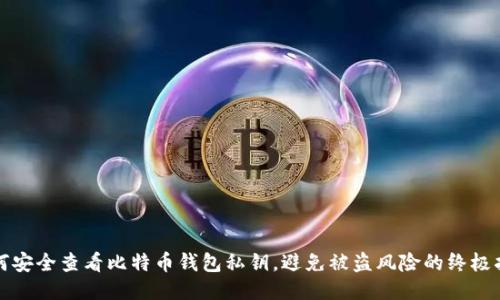 如何安全查看比特币钱包私钥,避免被盗风险的终极指南
