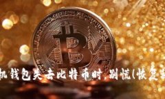 当你的手机钱包失去比特币时,别慌!恢复秘籍