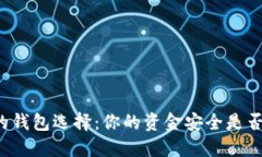 以太坊主网的钱包选择:你的资金安全是否得到