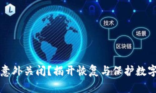 比特币钱包意外关闭?揭开恢复与保护数字资产的秘密