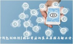 TP钱包到账慢?揭秘背后的真正原因与解决方案