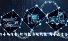 比特币的选择:软钱包与硬钱包,哪个更适合你