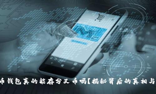比特币钱包真的能存分叉币吗?揭秘背后的真相与挑战!