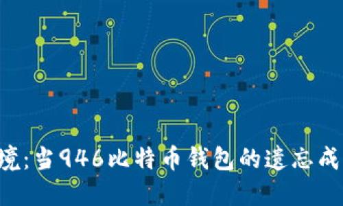 “密码困境:当946比特币钱包的遗忘成了噩梦!”