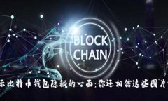 揭示比特币钱包隐秘的一面:你还相信这些图片