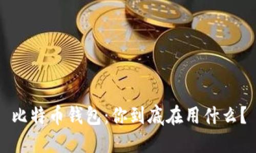 比特币钱包:你到底在用什么?