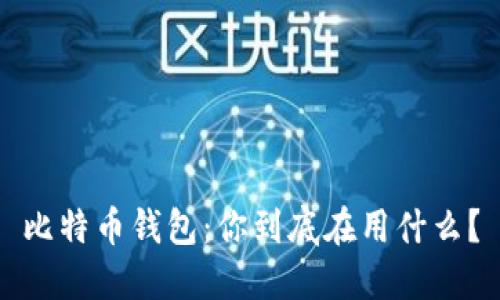 比特币钱包:你到底在用什么?