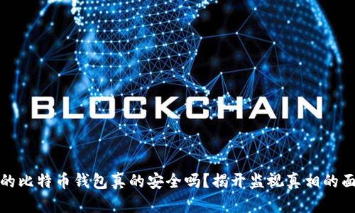 你的比特币钱包真的安全吗?揭开监视真相的面纱