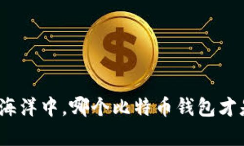 在数字货币的海洋中,哪个比特币钱包才是真正的港湾?