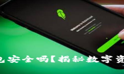 下载国外TP钱包安全吗?揭秘数字资产保护的真相!