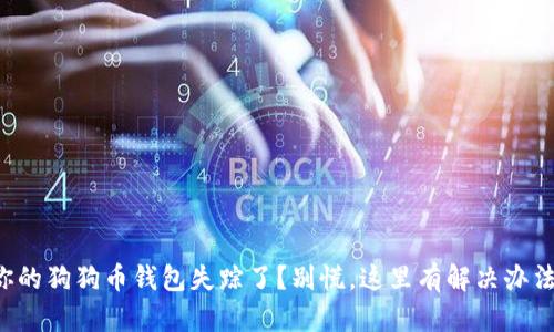 你的狗狗币钱包失踪了?别慌,这里有解决办法!