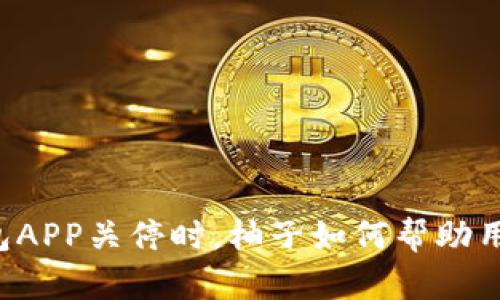 当比特币钱包APP关停时，柚子如何帮助用户渡过难关？