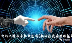 你真的了解你的比特币手机钱包吗?揭秘隐藏在