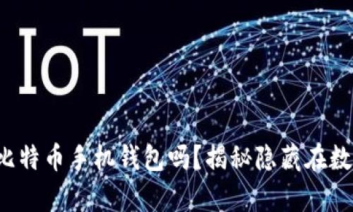 你真的了解你的比特币手机钱包吗？揭秘隐藏在数据包背后的秘密！