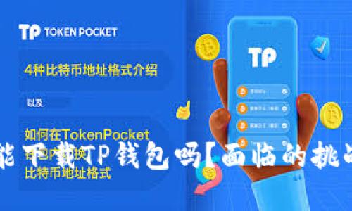 苹果用户还能下载TP钱包吗？面临的挑战与解决方案