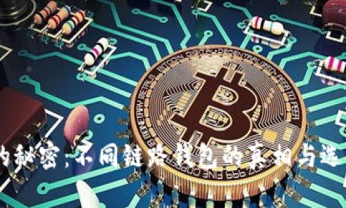 USDT的秘密：不同链路钱包的真相与选择挑战