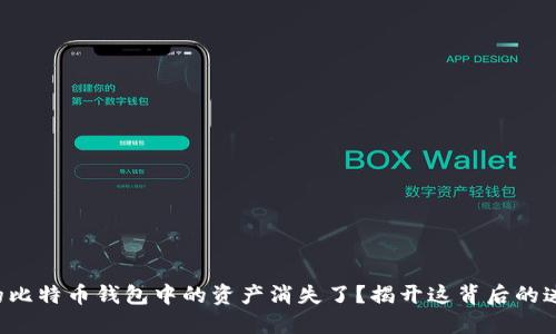 你的比特币钱包中的资产消失了?揭开这背后的迷雾!