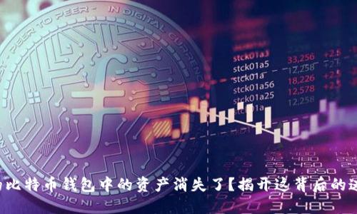你的比特币钱包中的资产消失了?揭开这背后的迷雾!