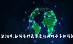 在数字货币浪潮中，如何选择最合适的比特币手