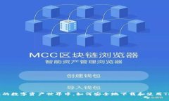 在复杂的数字资产世界中，如何安全地下载和使