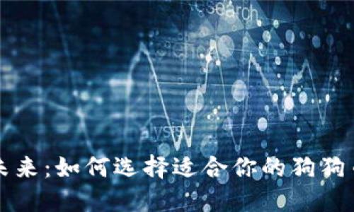 掌握未来:如何选择适合你的狗狗币钱包