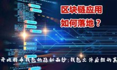 揭开比特币钱包的隐秘面纱:钱包文件后缀的真