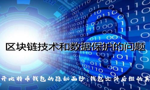 揭开比特币钱包的隐秘面纱:钱包文件后缀的真相