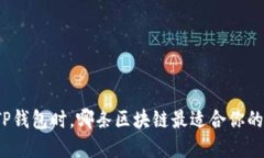选择TP钱包时,哪条区块链最适合你的需求?