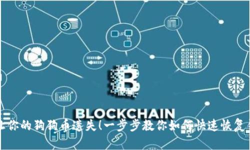 别让你的狗狗币遗失！一步步教你如何快速恢复钱包