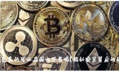 TP钱包真的可以在国内下载吗?揭秘安装背后的秘