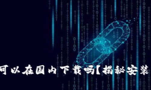 TP钱包真的可以在国内下载吗?揭秘安装背后的秘密!