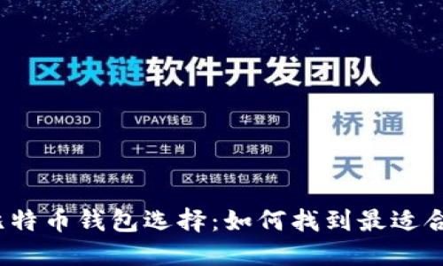 挑剔你的比特币钱包选择:如何找到最适合你的平台?