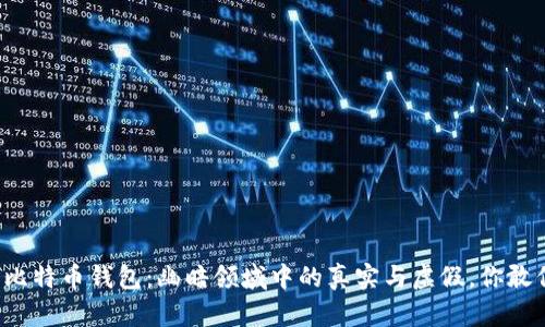 网上比特币钱包:幽暗领域中的真实与虚假,你敢信吗?