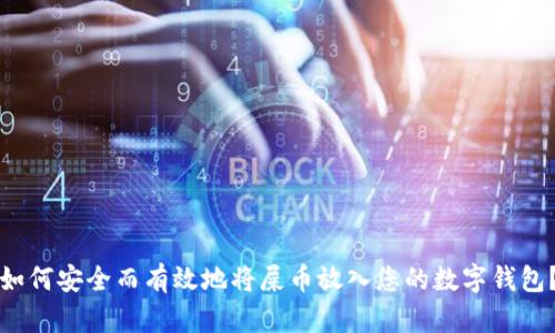 如何安全而有效地将屎币放入您的数字钱包？