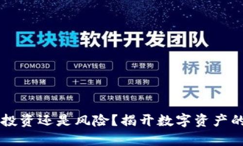 TRX钱包:投资还是风险?揭开数字资产的真实面纱!