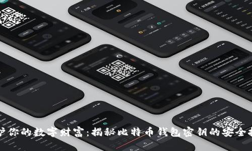 保护你的数字财富:揭秘比特币钱包密钥的安全挑战