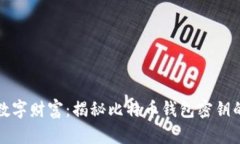 保护你的数字财富:揭秘比特币钱包密钥的安全