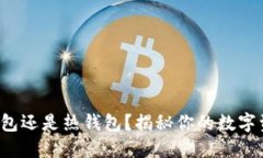 TP钱包是冷钱包还是热钱包?揭秘你的数字资产安