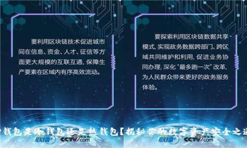 TP钱包是冷钱包还是热钱包?揭秘你的数字资产安全之道!