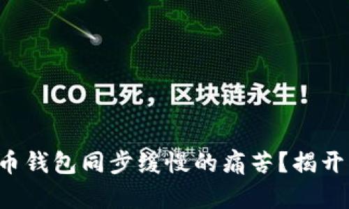你是否还在忍受比特币钱包同步缓慢的痛苦?揭开解决方案的神秘面纱!