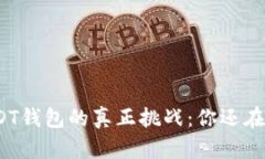 选择USDT钱包的真正挑战:你还在犹豫吗?