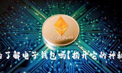 你真的了解电子钱包吗?揭开它的神秘面纱!