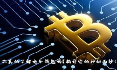 你真的了解电子钱包吗?揭开它的神秘面纱!