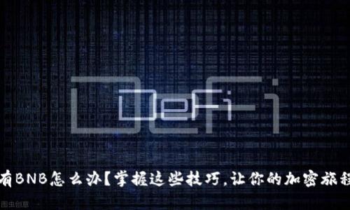 TP钱包：没有BNB怎么办？掌握这些技巧，让你的加密旅程不再受限！