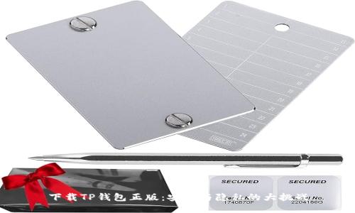 下载TP钱包正版:安全与隐私的大挑战