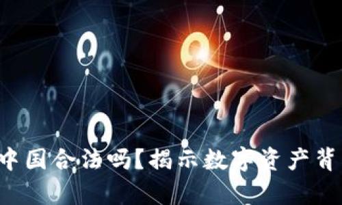 TP钱包在中国合法吗?揭示数字资产背后的真相!