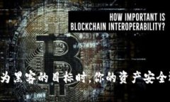 当数字钱包成为黑客的目标时,你的资产安全还